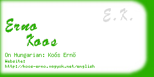 erno koos business card