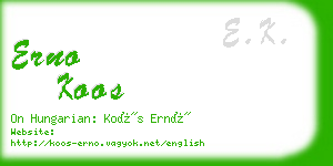 erno koos business card